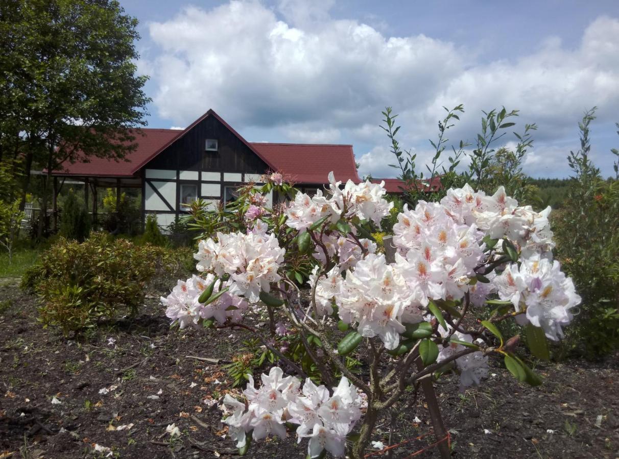 Dom Rybaka Villa Mirosławiec Exteriör bild
